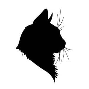 Blacckcat406 profile