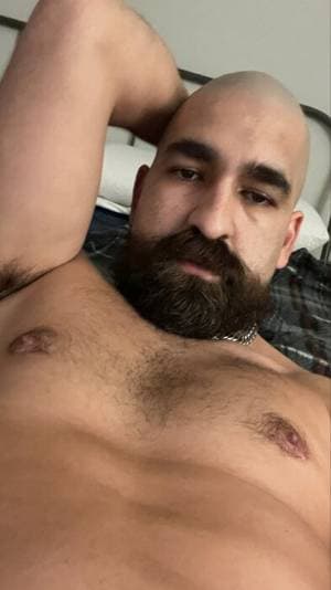 Brobullrider profile