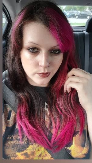 Dahliadarkest profile