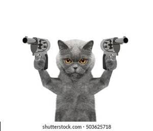 Gonnaeaturheart profile