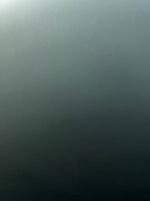 Goodbyepumpkin profile