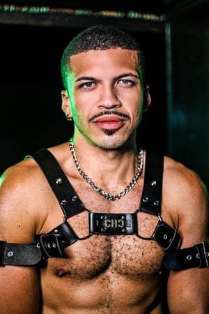 Johnny Alves profile