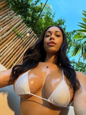 Jasminelotus profile