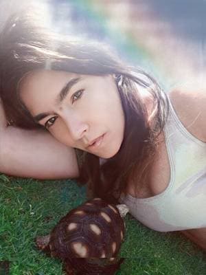 Massagefairy profile