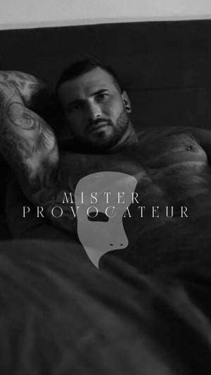 Misterprovocateur profile