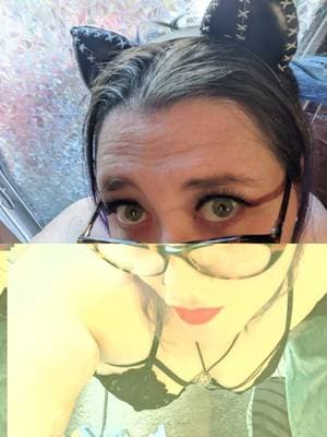 Petthecosmickitten profile