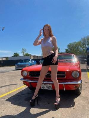 Pinkbunnii215 profile