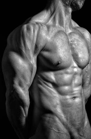 Stevenschlusche profile