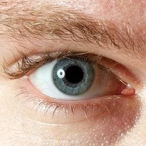 Thephotosmith profile