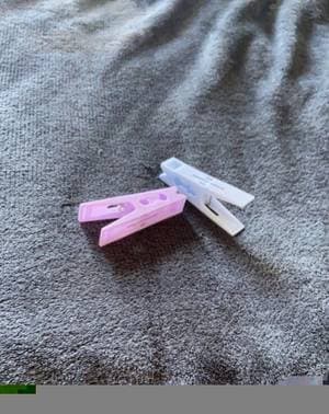 Wepegyourpardon profile