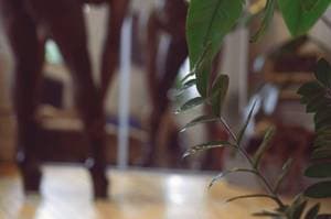 Wh0renedgawd profile