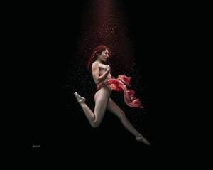 Zoesfrenchpress profile